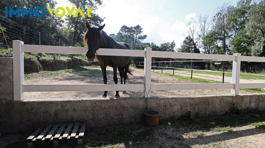 RUSTIC PROPERTY IDEAL TO HAVE HORSES