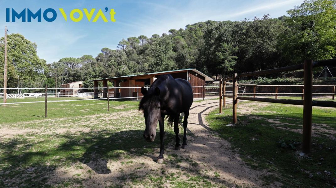 FINCA RÚSTICA IDEAL PARA TENER CAVALLOS