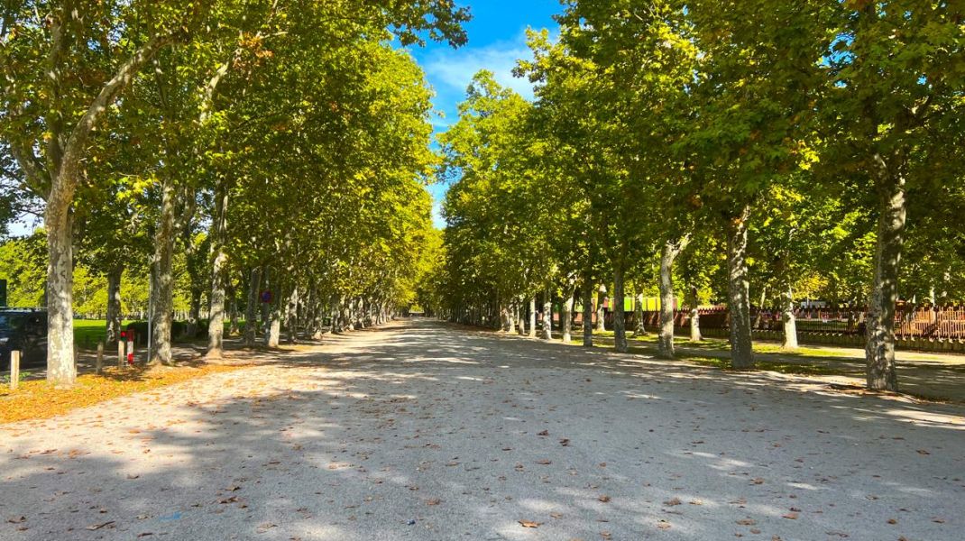 Building for sale in the center of Girona