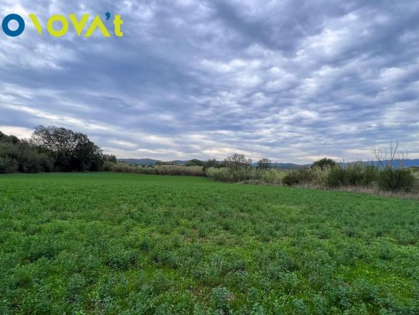 LAND TO BUILD 11 HOUSES IN BAIX EMPORDÀ