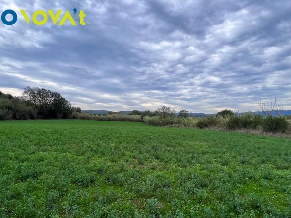 TERRENO PARA CONSTRUIR 11 CASAS EN EL BAIX EMPORDÀ