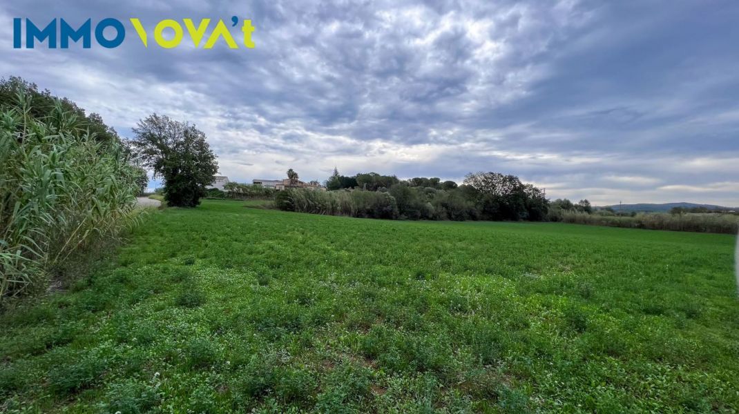 TERRENO PARA CONSTRUIR 11 CASAS EN EL BAIX EMPORDÀ