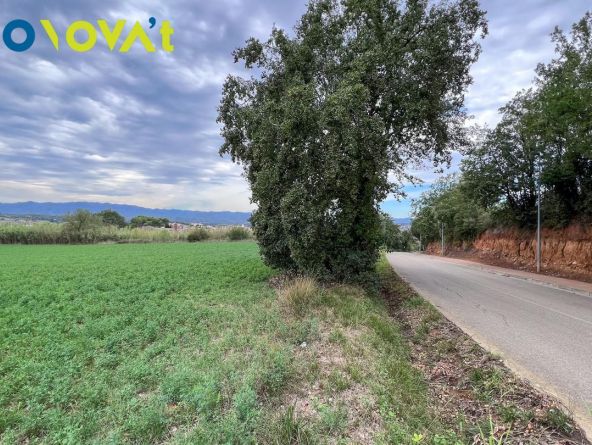 TERRENO PARA CONSTRUIR 11 CASAS EN EL BAIX EMPORDÀ