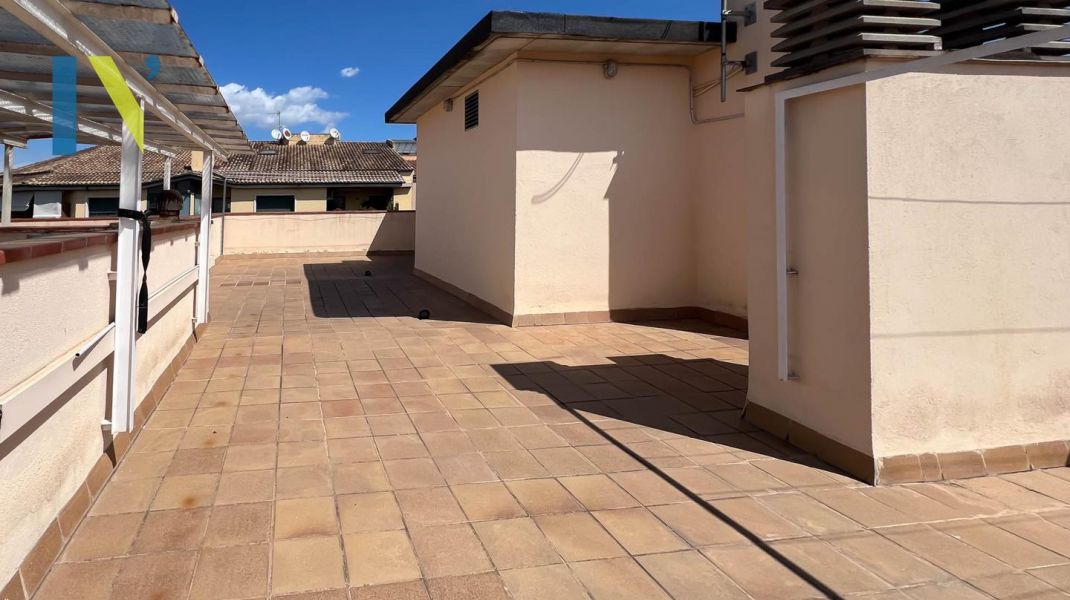 Donde tu familia encaja de verdad