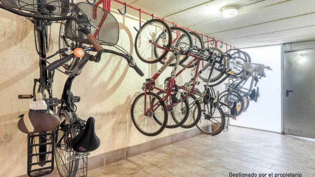 Seafront with a tourist license