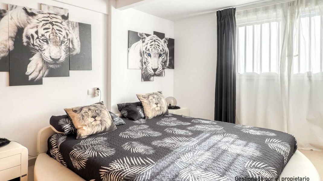 Seafront with a tourist license