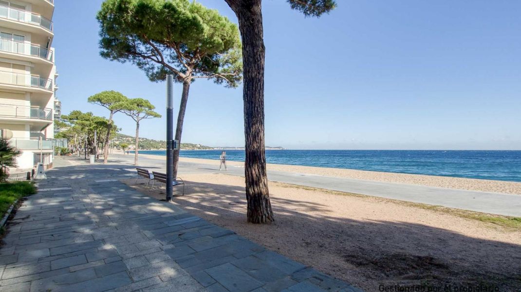 Seafront with a tourist license