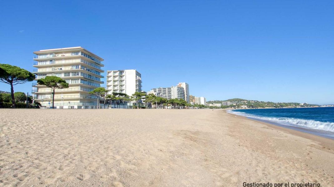 Seafront with a tourist license