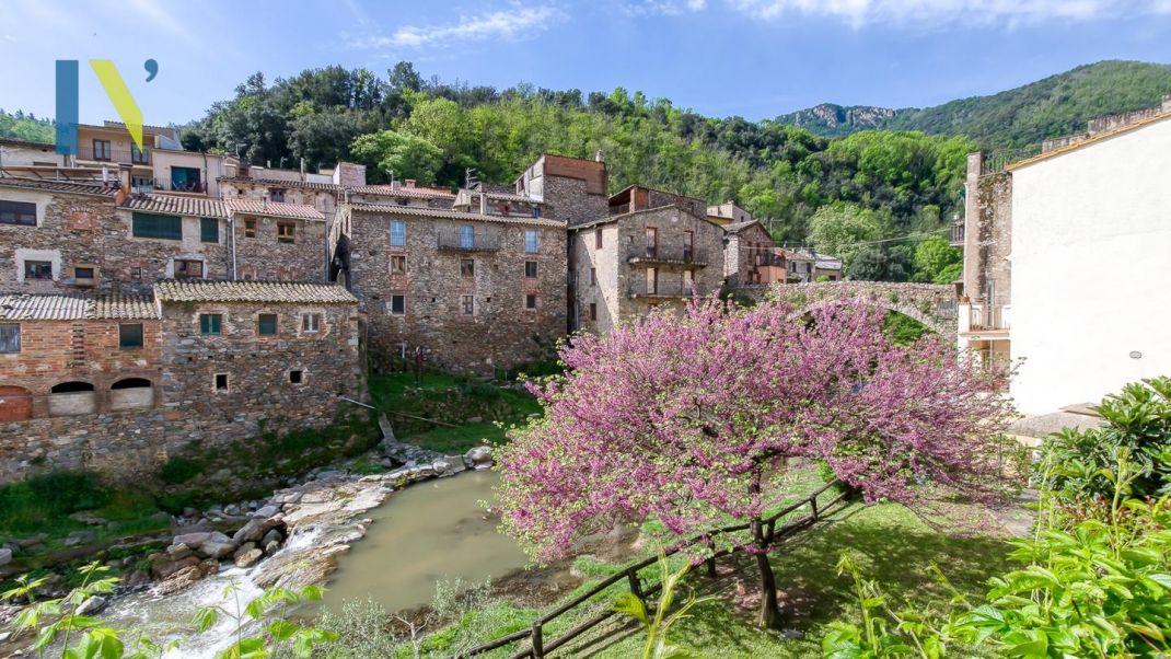 Pedra, calma i natura