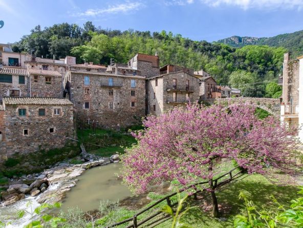 Pedra, calma i natura