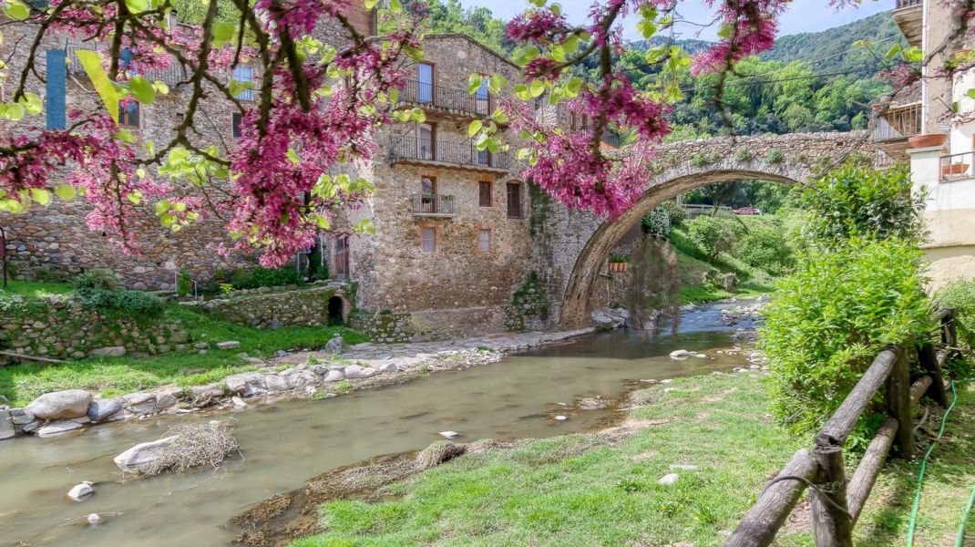 Pedra, calma i natura