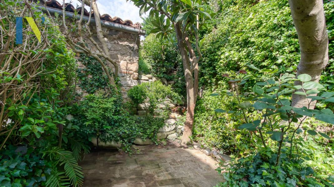 Pedra, calma i natura